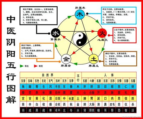 五行相生图|一分钟记住，五行相生相克。